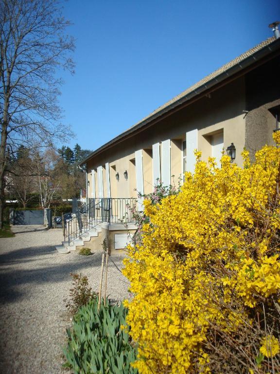 Apartamento Les Communs Du Manoir Écully Exterior foto