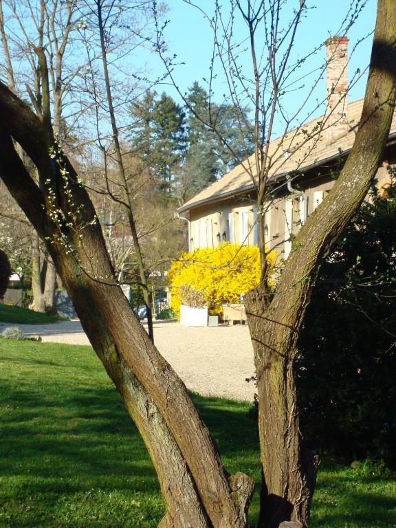 Apartamento Les Communs Du Manoir Écully Exterior foto